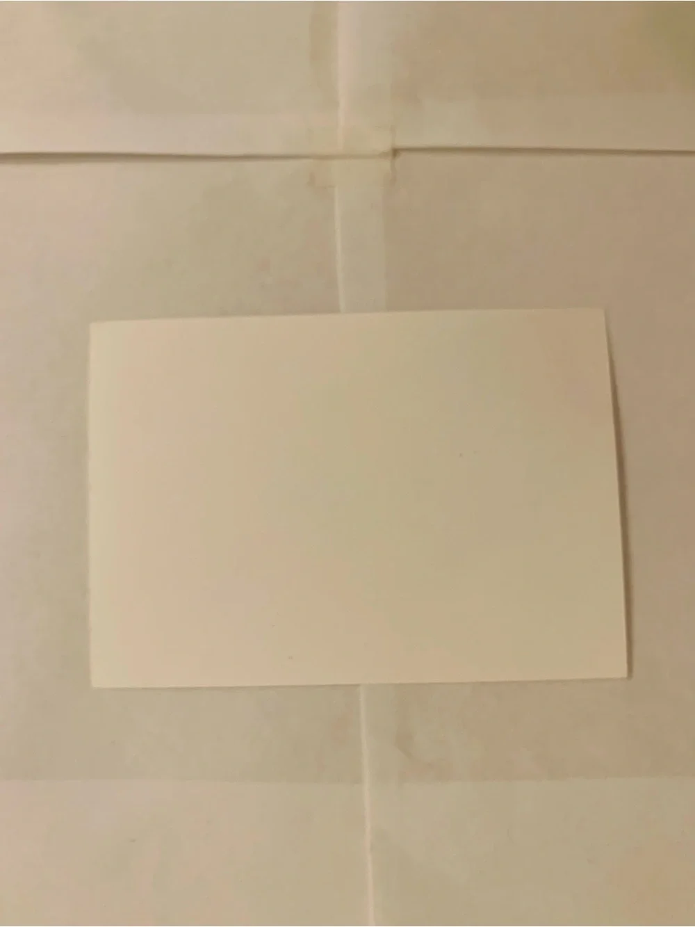 CHANEL Receipt Holder Set White Black Logo Envelope Sleeve Card Authentic